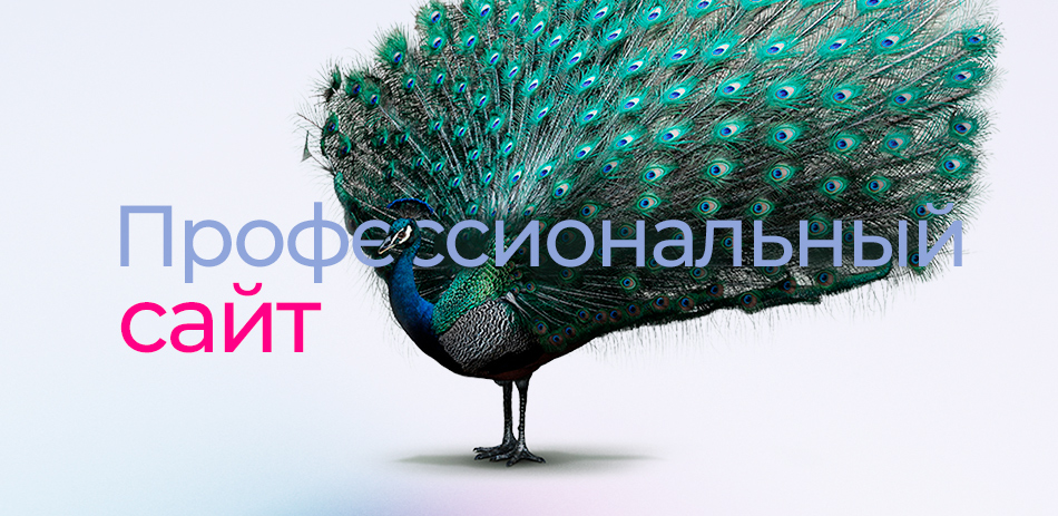 Профессиональный сайт legas.kz